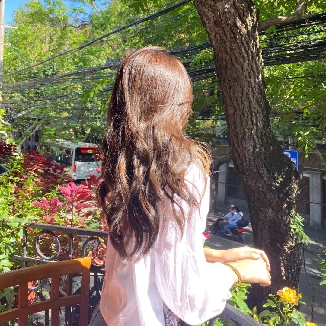 蜜蜂酿蜜